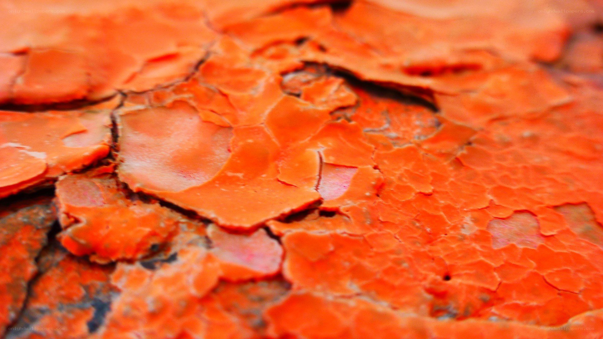 cracked orange paint surface