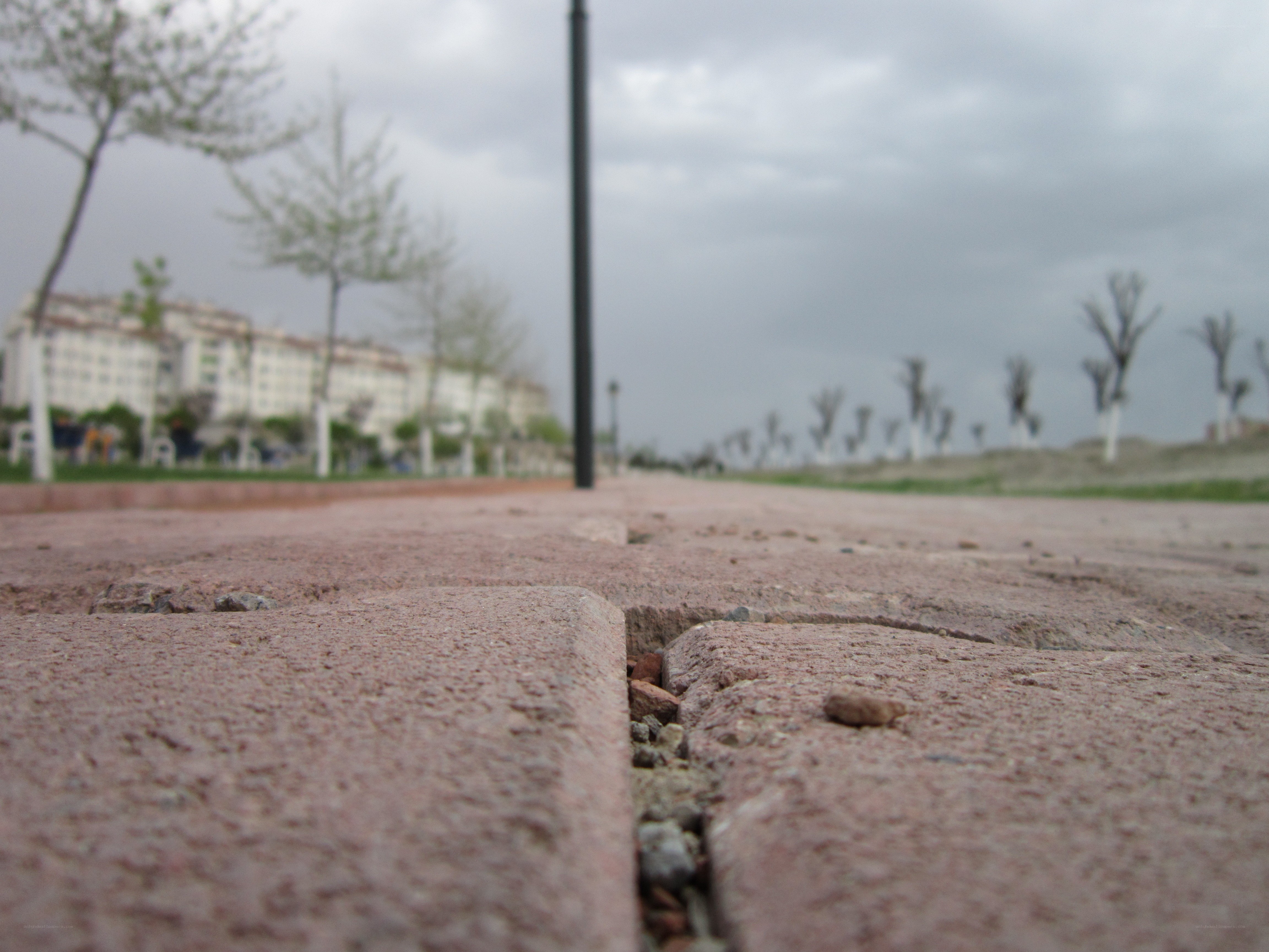 cracked pavement in park