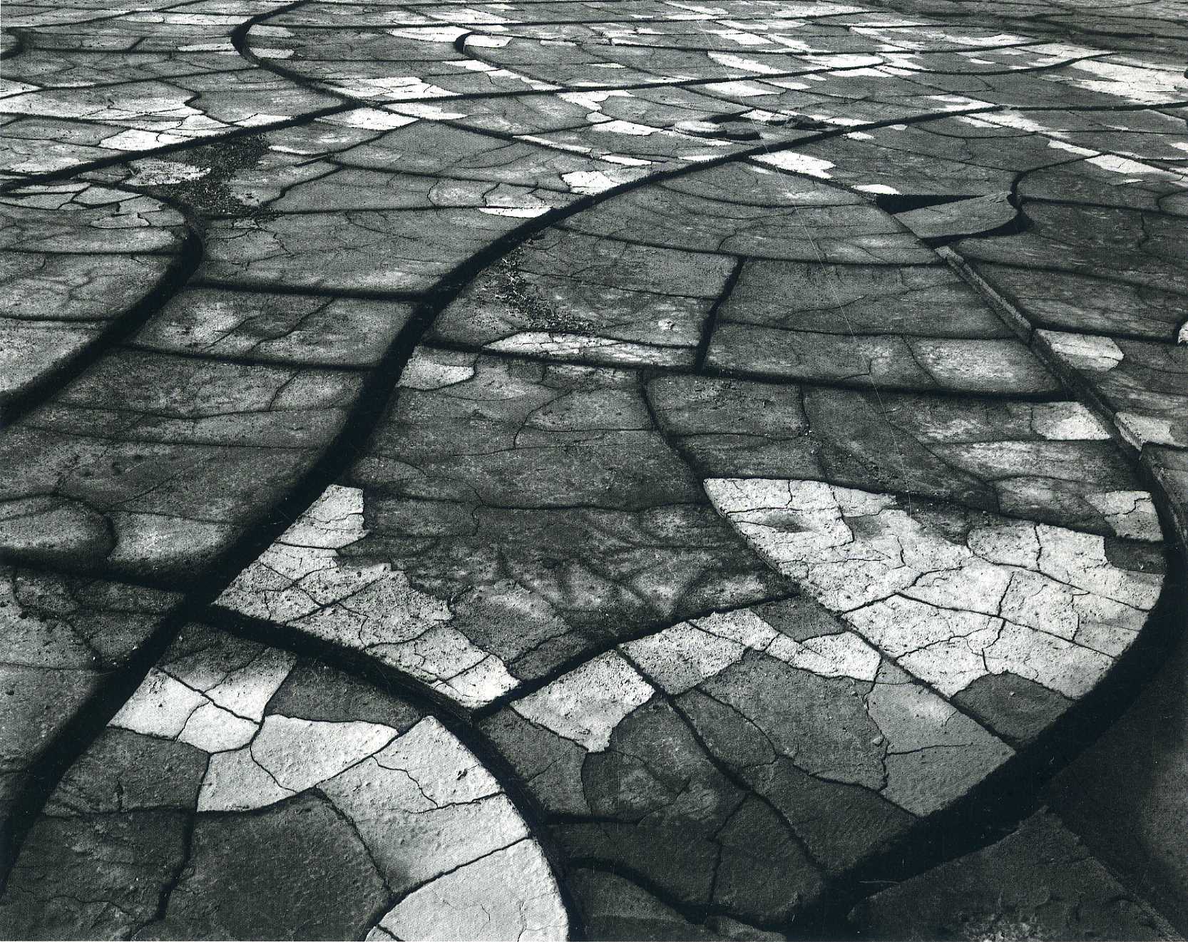 cracked pavement pattern