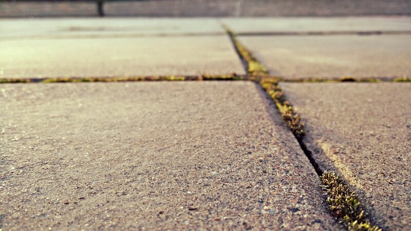 Cracked Pavement with Moss