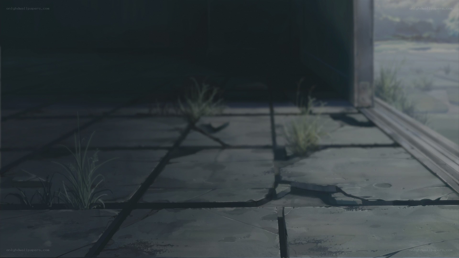 cracked pavement with weeds