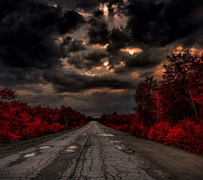 Cracked Road with Red Trees — Dramatic