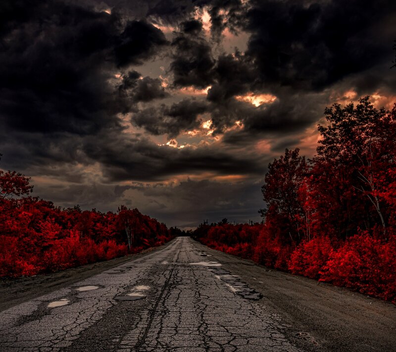 Cracked Road with Red Trees
