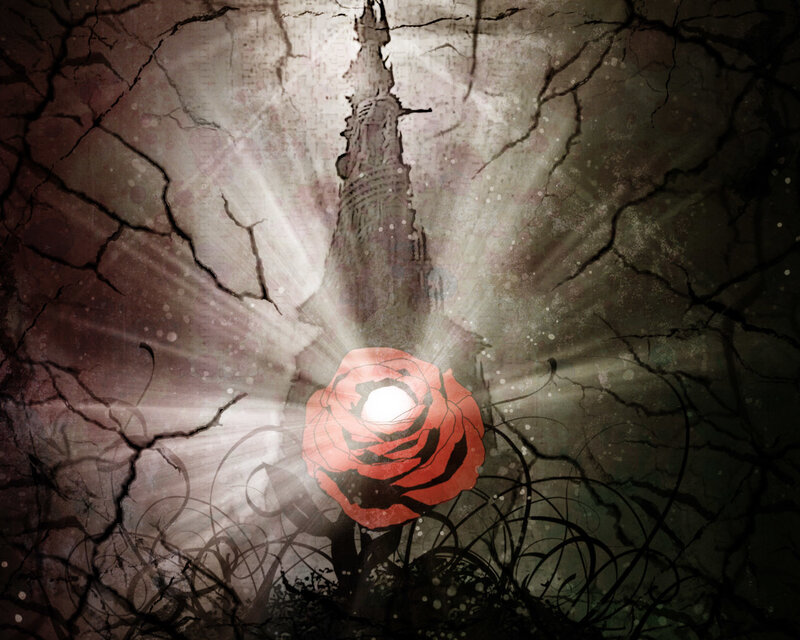cracked rose with light