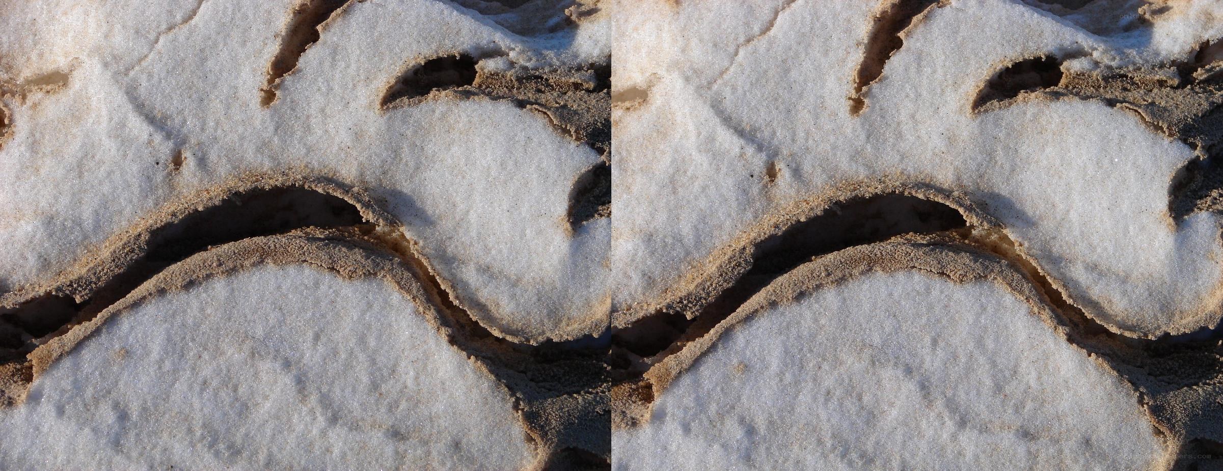 cracked salt crust surface