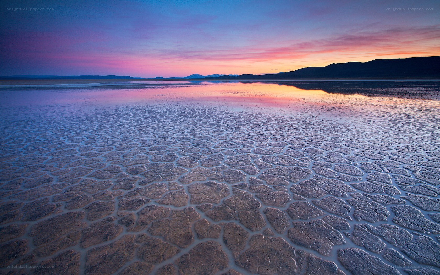 Cracked salt flat at sunset
