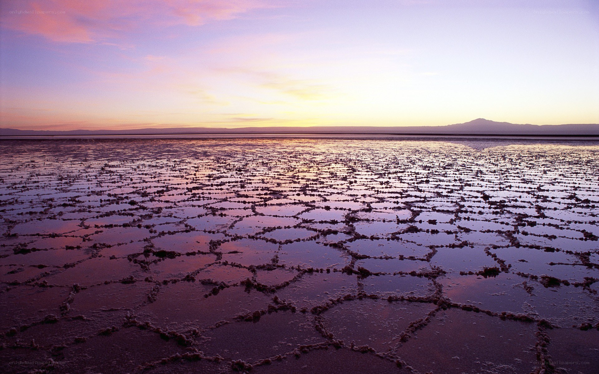 Cracked salt flat at sunset