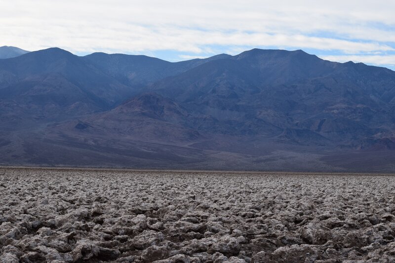Cracked Salt Flat — Gray, Arid