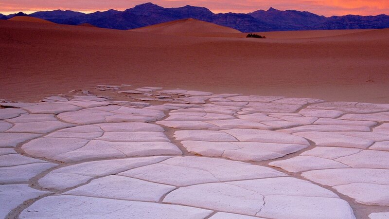 Cracked Salt Flat — Pink, Dramatic