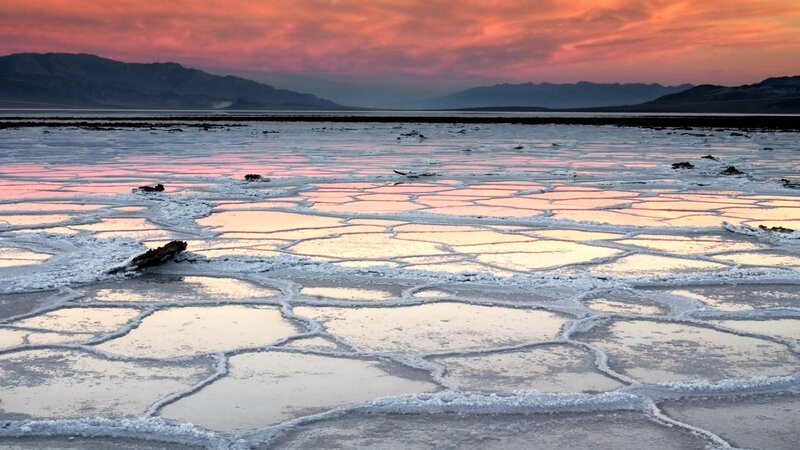 Cracked Salt Flat — Pink
