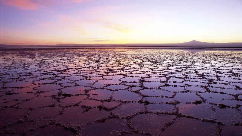 Cracked Salt Flat — Purple