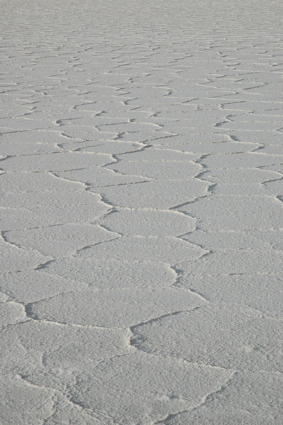 cracked salt flat surface