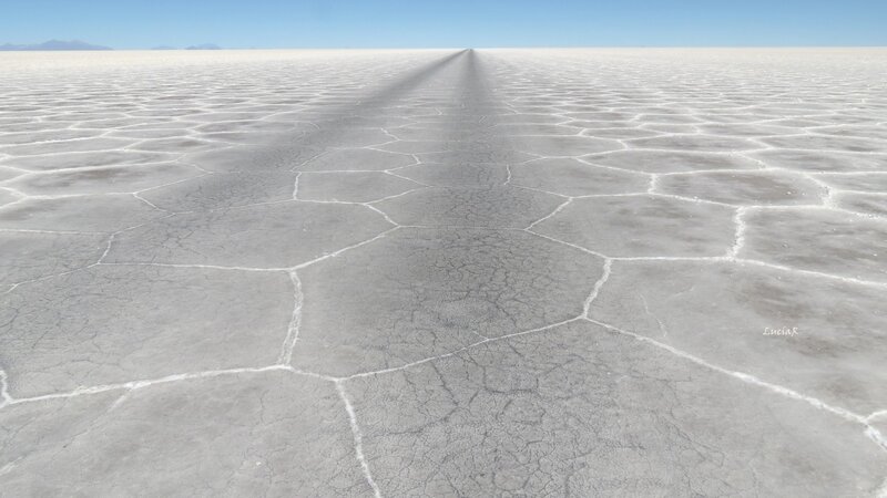 Cracked Salt Flat — White