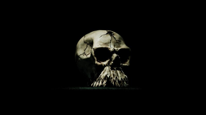 Cracked Skull on Dark Surface