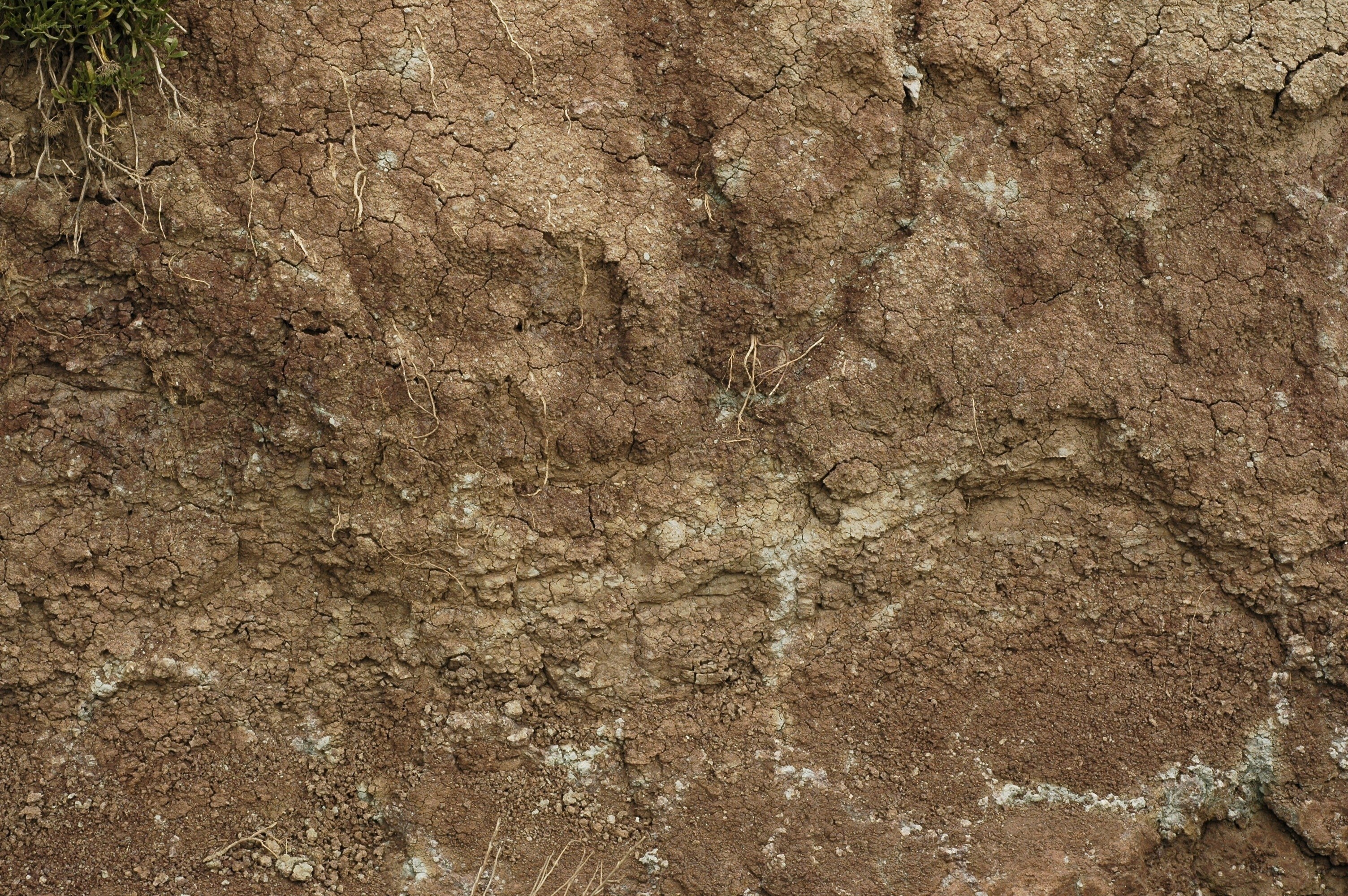 cracked soil profile