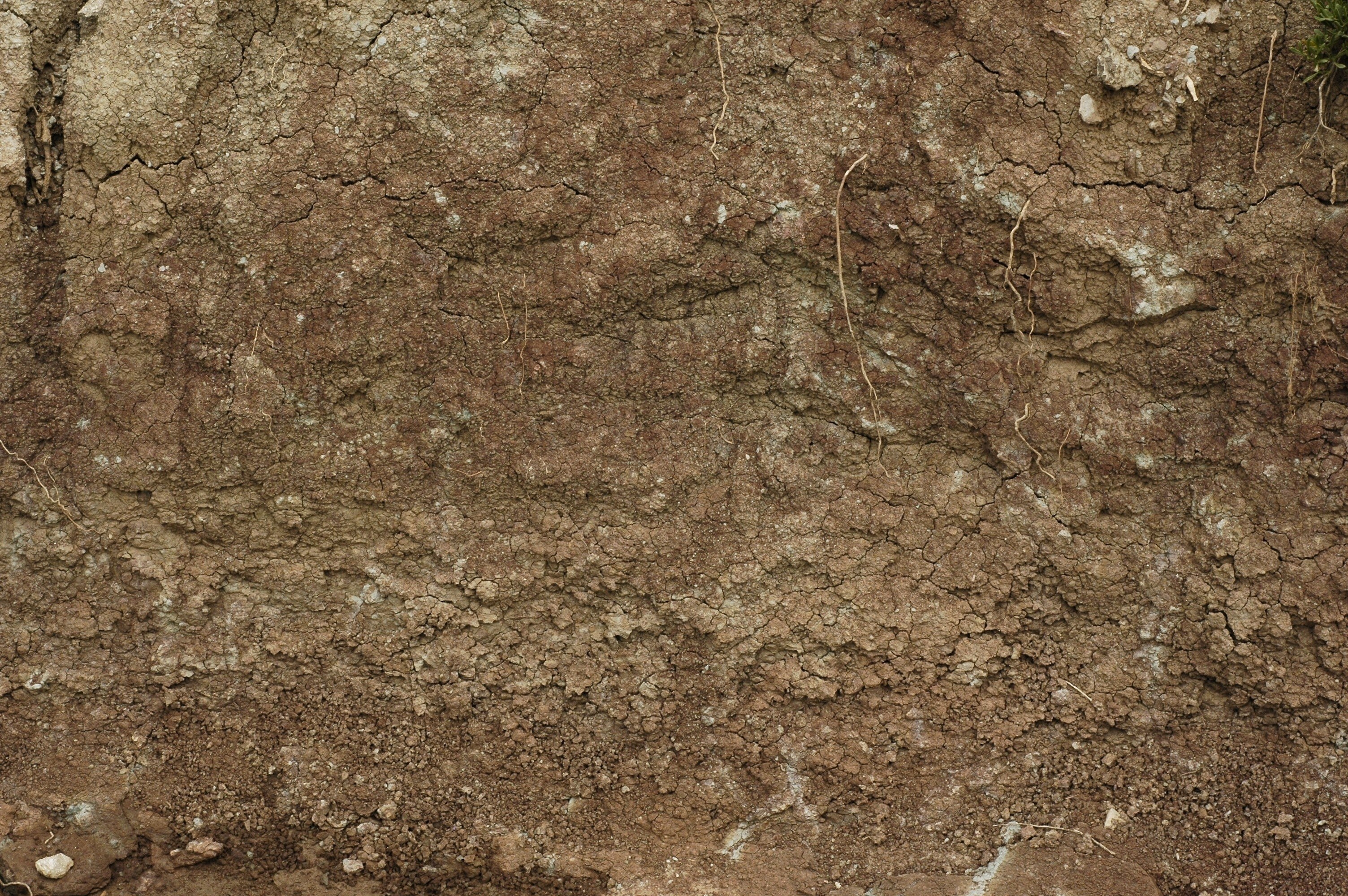 cracked soil profile