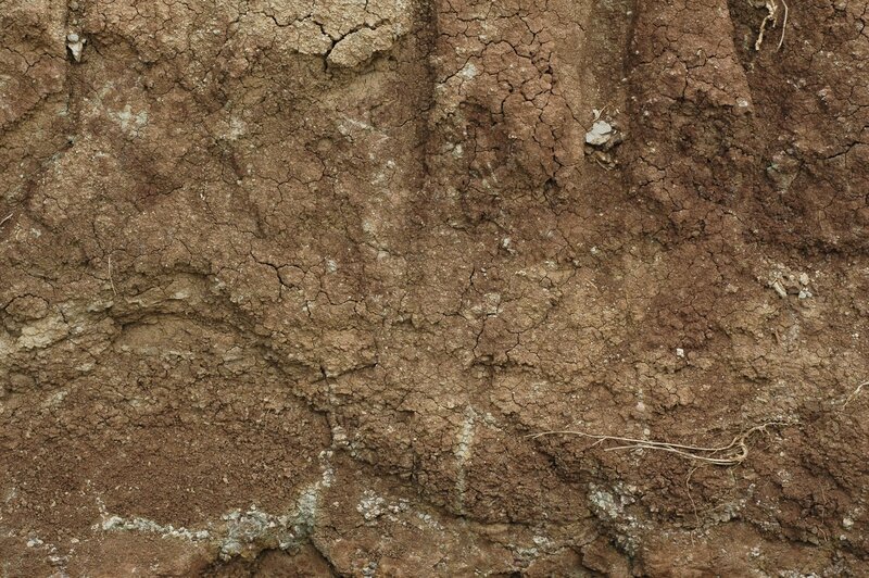 cracked soil texture