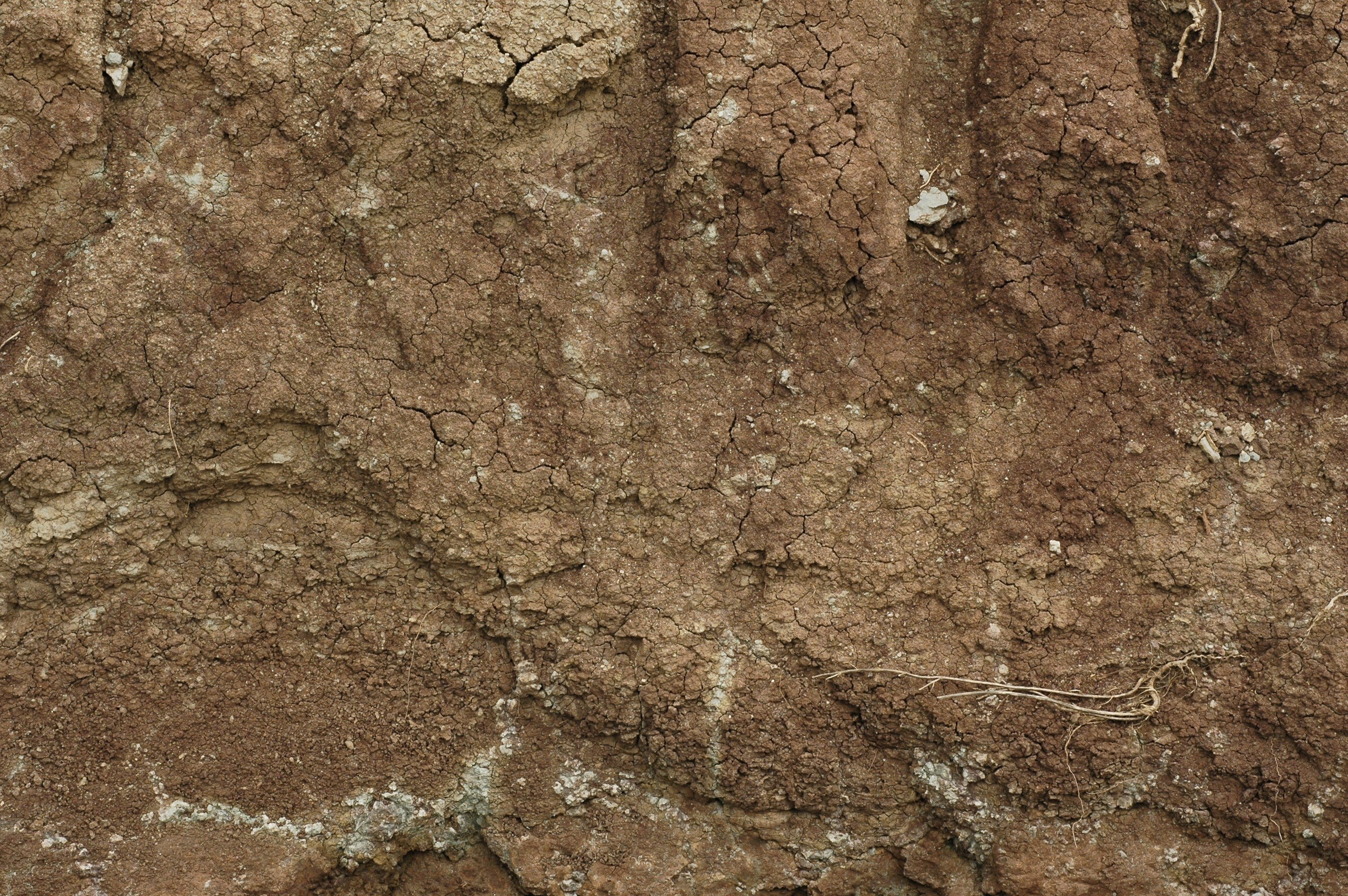 cracked soil texture