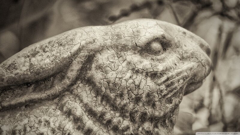 cracked stone rabbit head