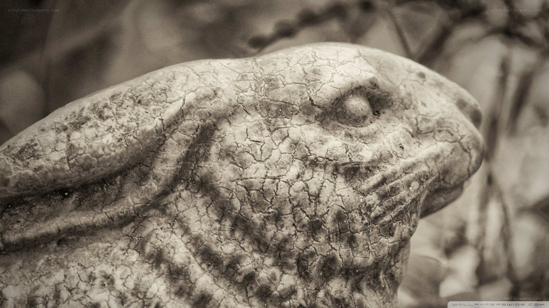 cracked stone rabbit head