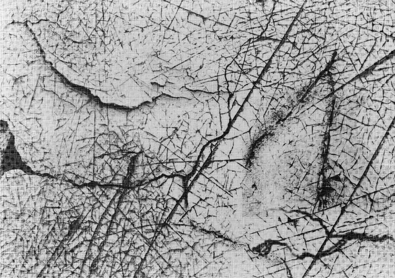 Cracked Surface Texture