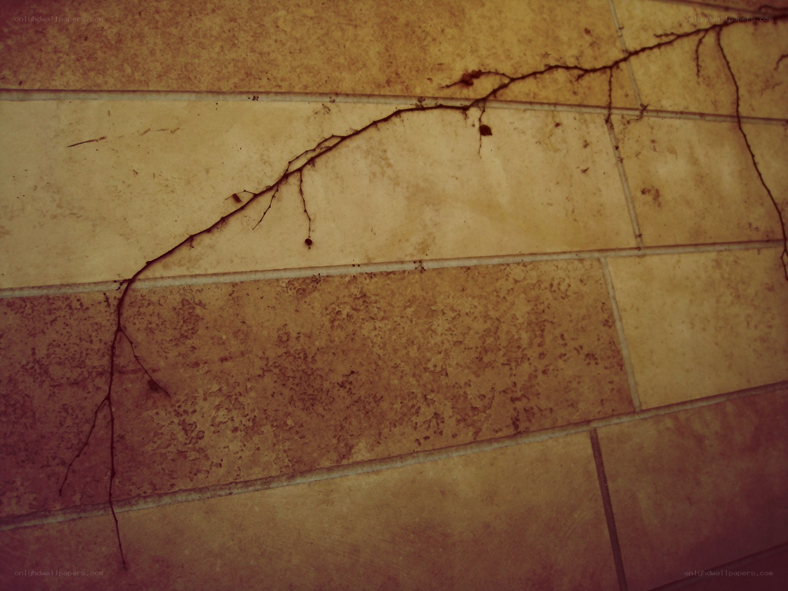 cracked tile floor