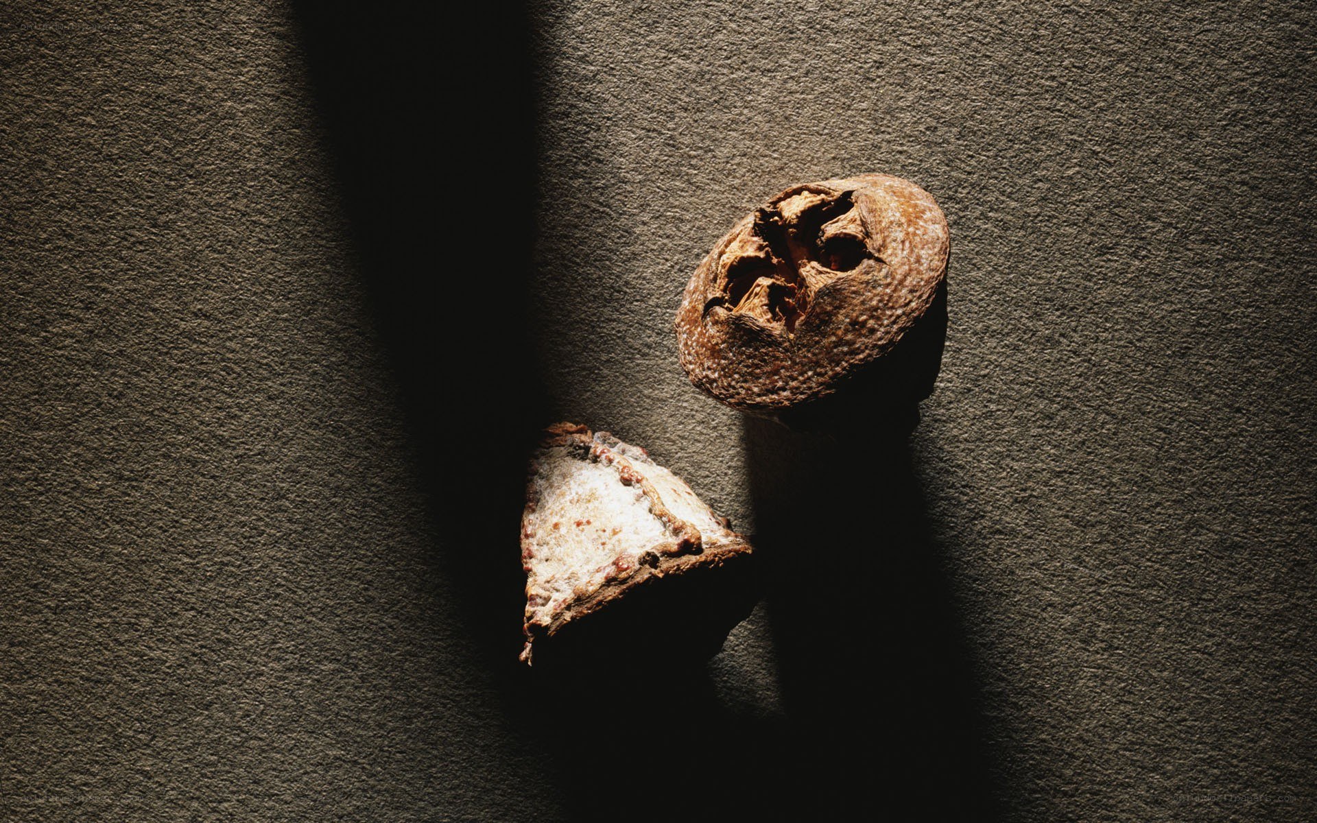 Cracked walnut on textured surface