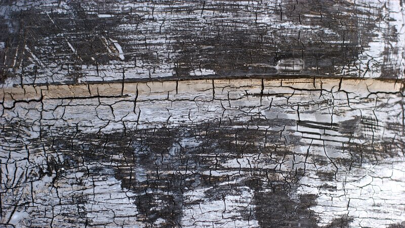 cracked weathered wood texture