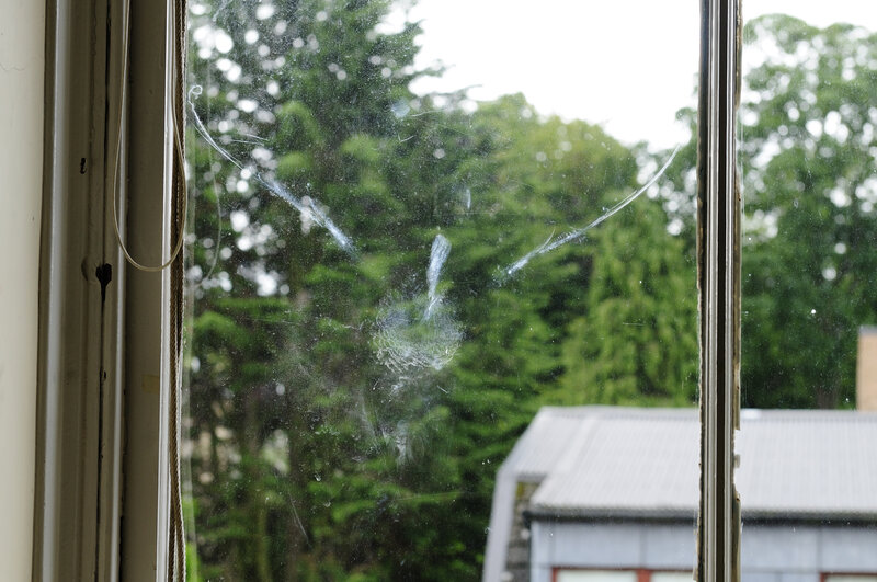 Cracked window with trees outside