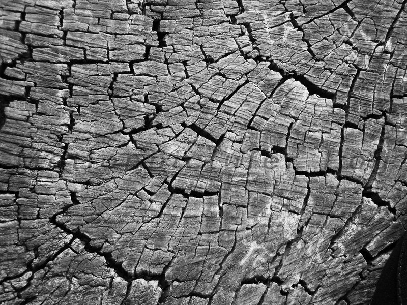 cracked wood texture