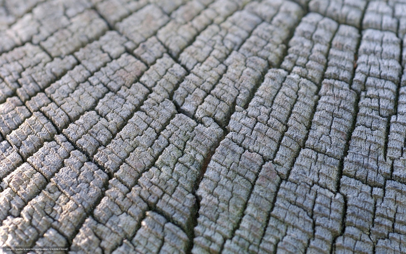 cracked wood texture