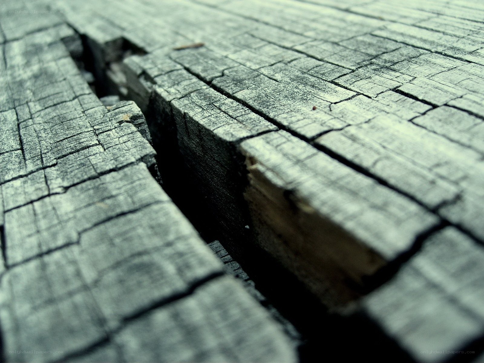 cracked wooden surface