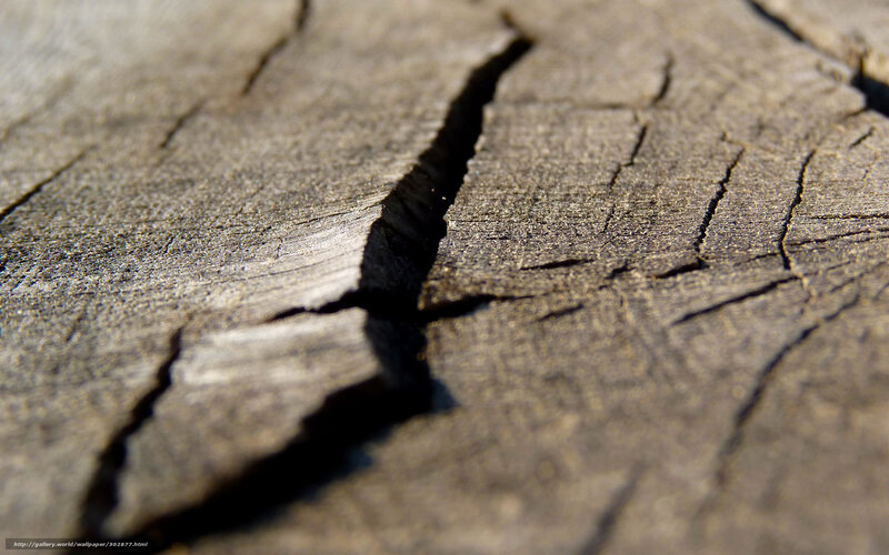 Cracked Wooden Surface — Brown