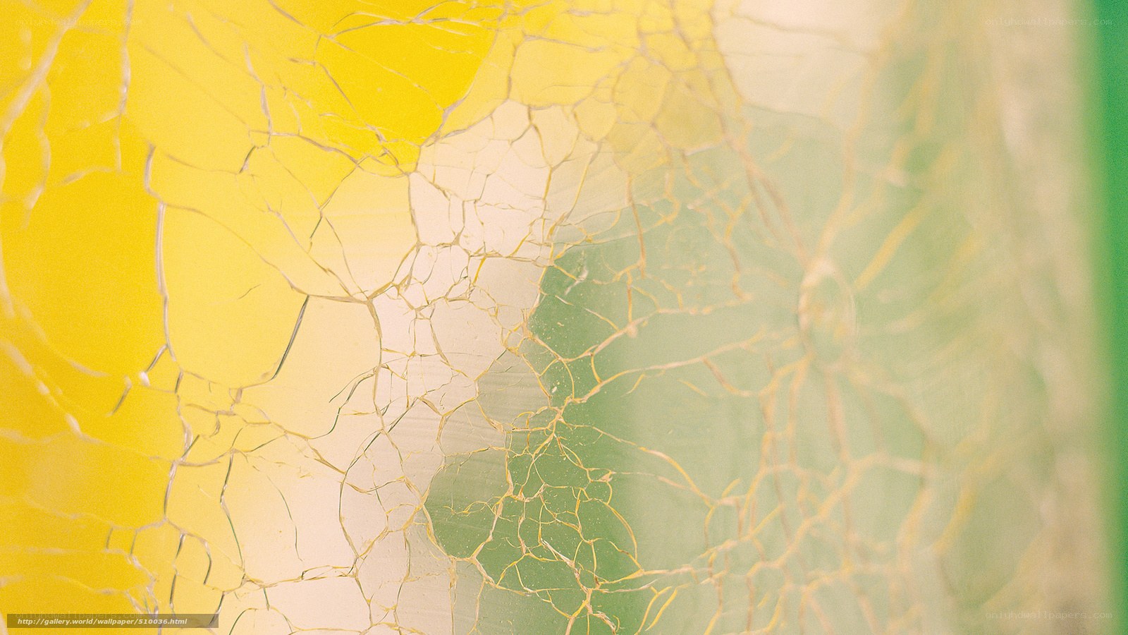 cracked yellow and green surface