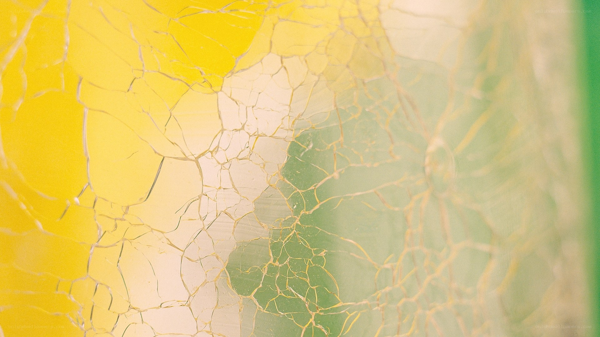 cracked yellow and green surface
