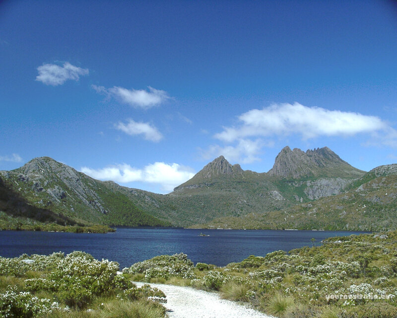 Cradle Mountain Landscape — Blue, Serene