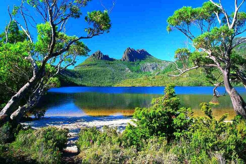 Cradle Mountain Landscape — Blue