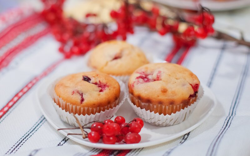 Cranberry Muffins on Plate — White