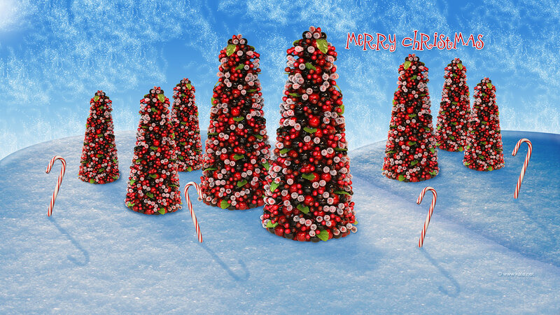Cranberry Trees in Snow