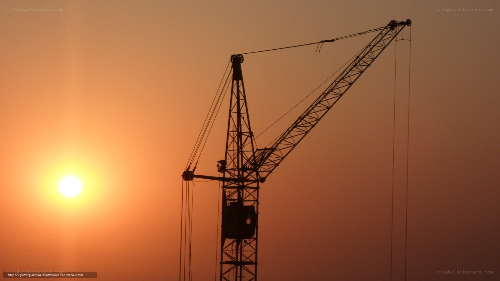 Crane at sunset silhouette