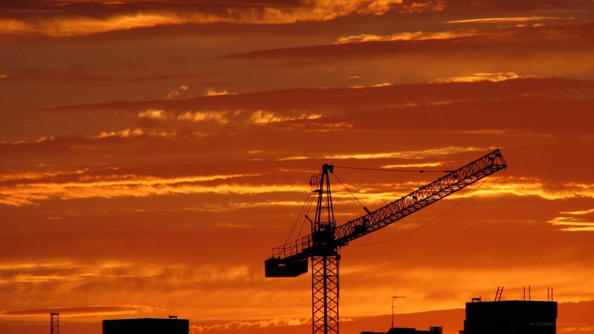 Crane at sunset