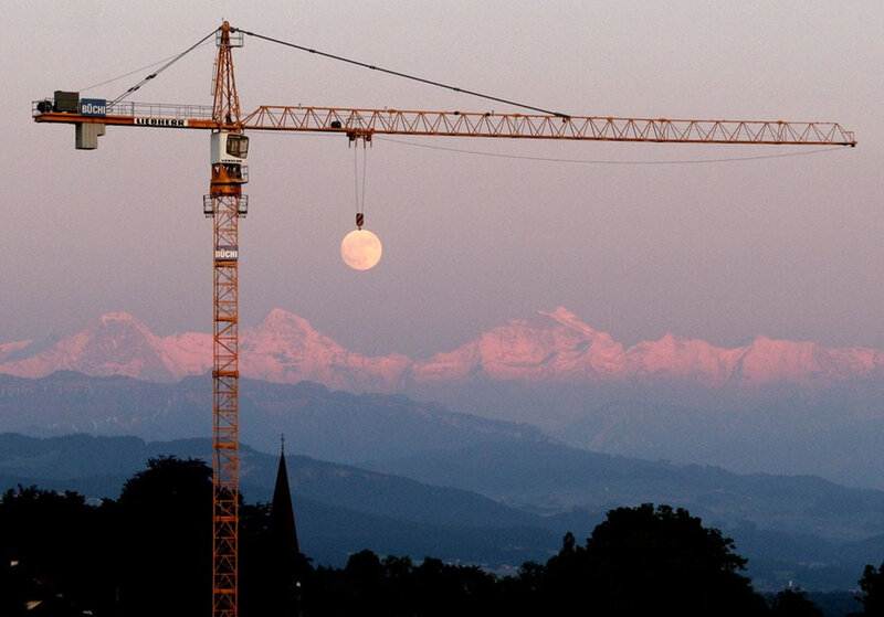 Crane with Moon