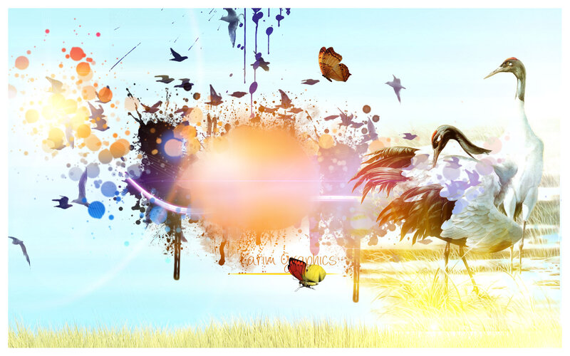 Cranes in a Field
