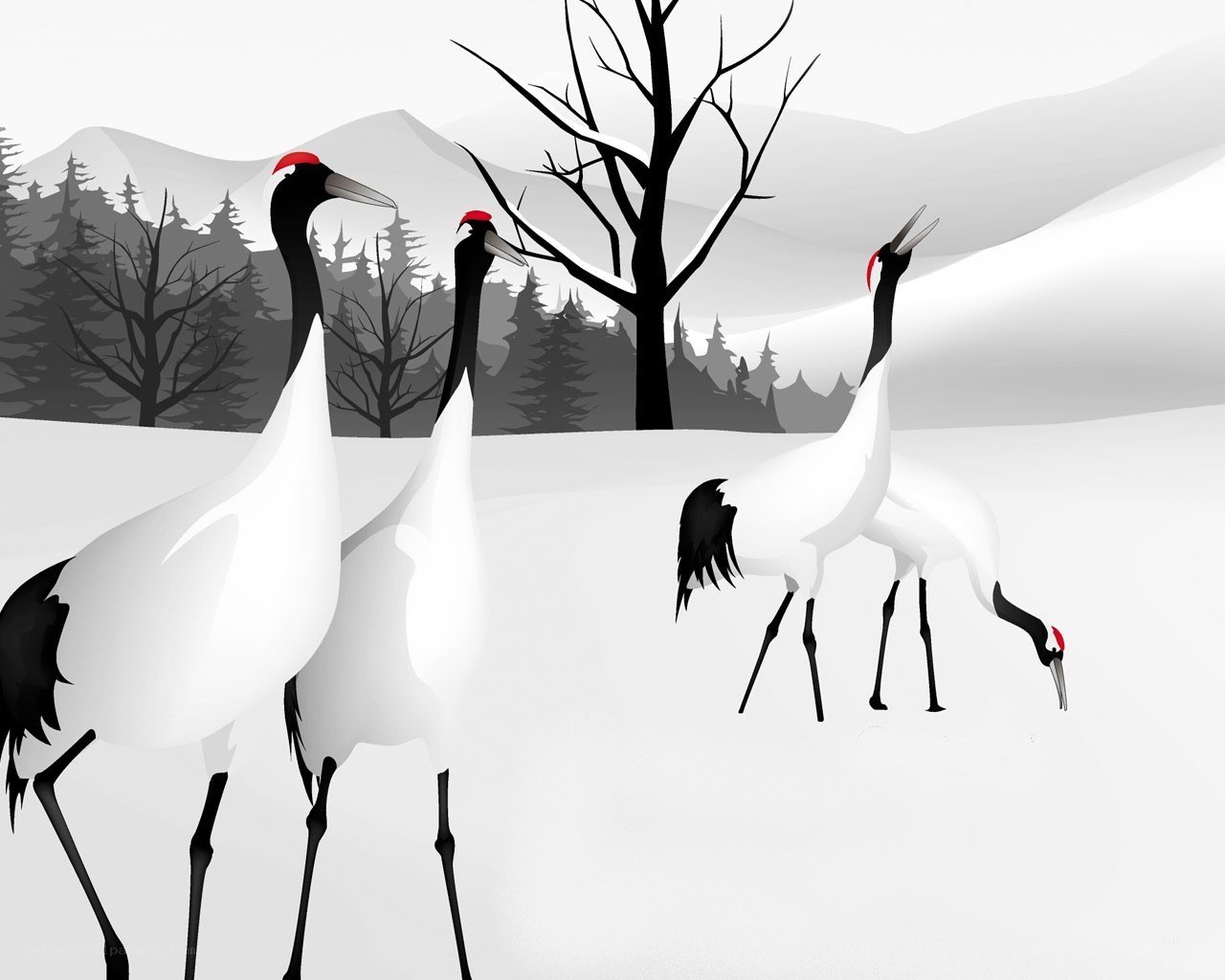 Cranes in a snowy landscape