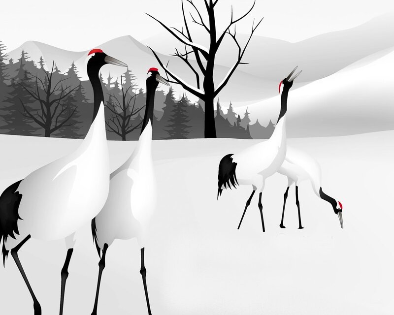 Cranes in Snow — White, Serene, Winter