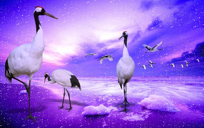 Cranes on Purple Beach — Dreamy
