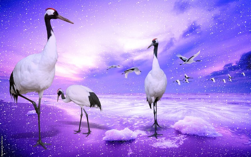 Cranes on Purple Beach — Serene, Night, Digital Art