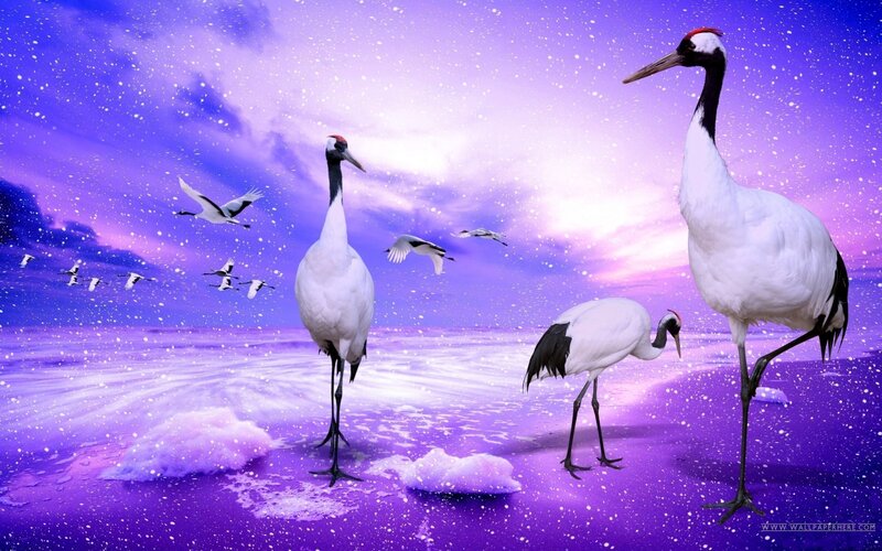 Cranes on Purple Beach — Serene, Night