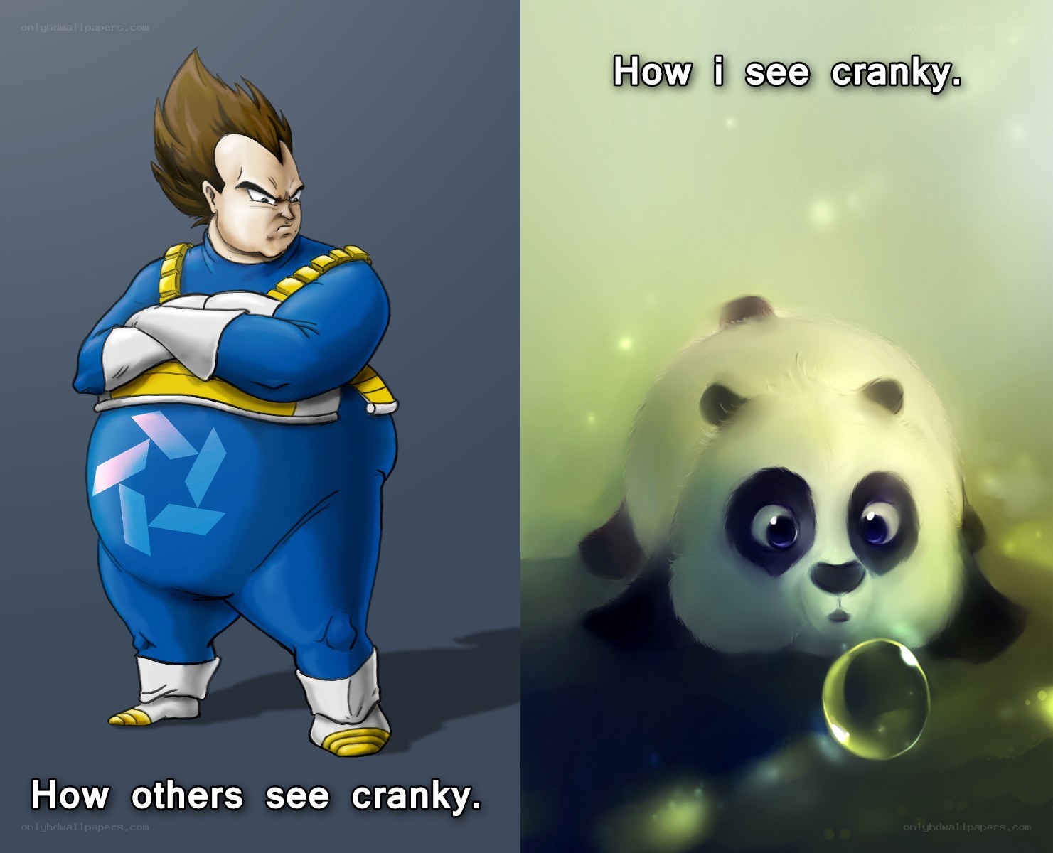 Cranky meme comparison