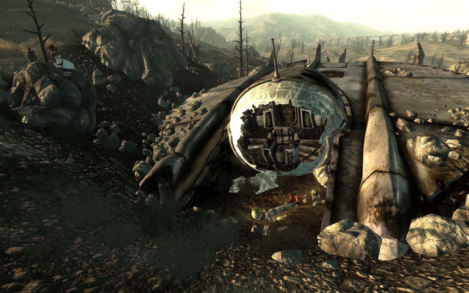 Crashed aircraft in wasteland